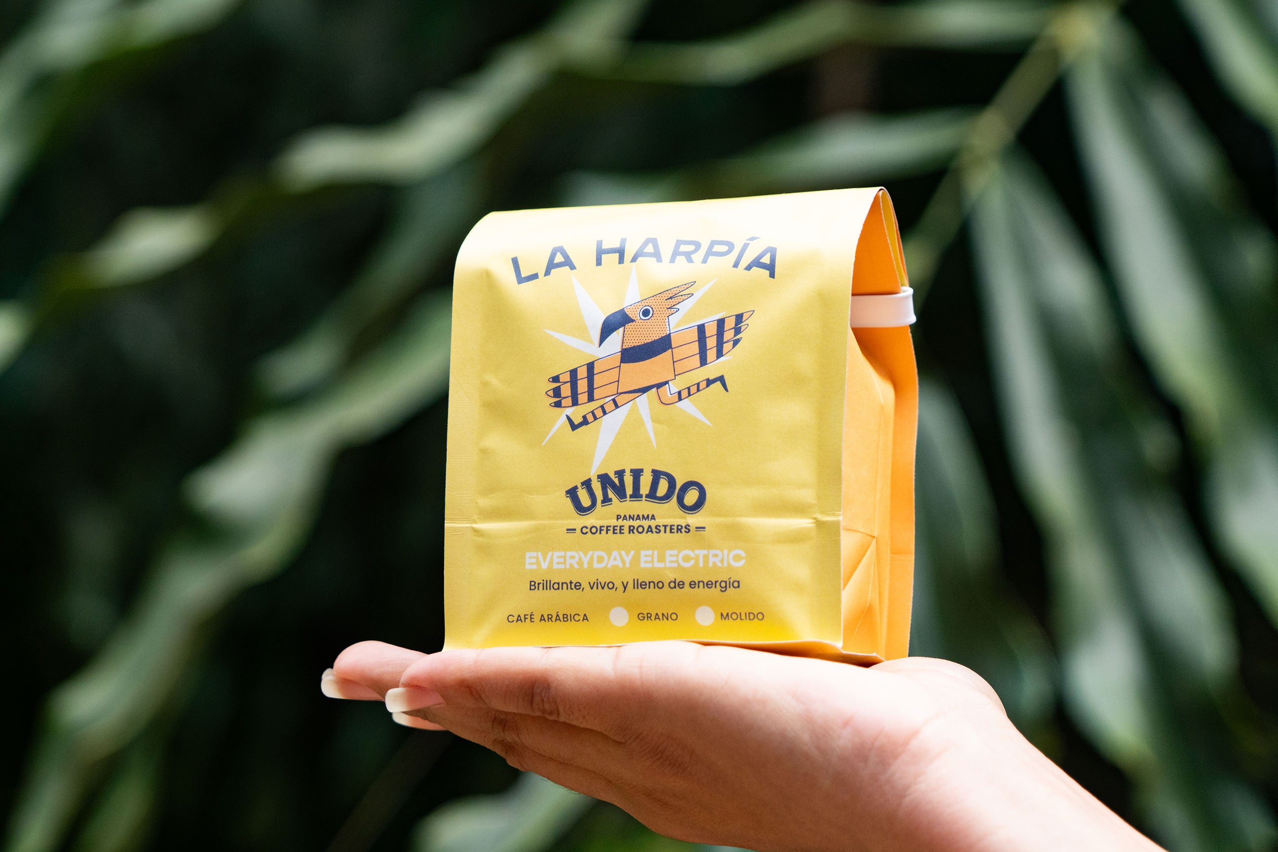 A hand holding a yellow bag of La Harpía Unido coffee roasters, with a blurred green leafy background.