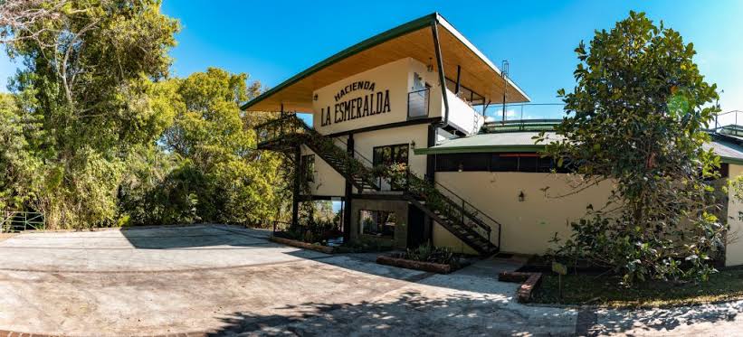Hacienda la Esmeralda Guabo 8 NC Natural Geisha