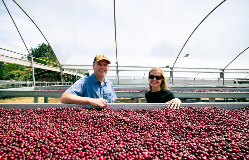 Hacienda la Esmeralda Guabo 8 NC Natural Geisha